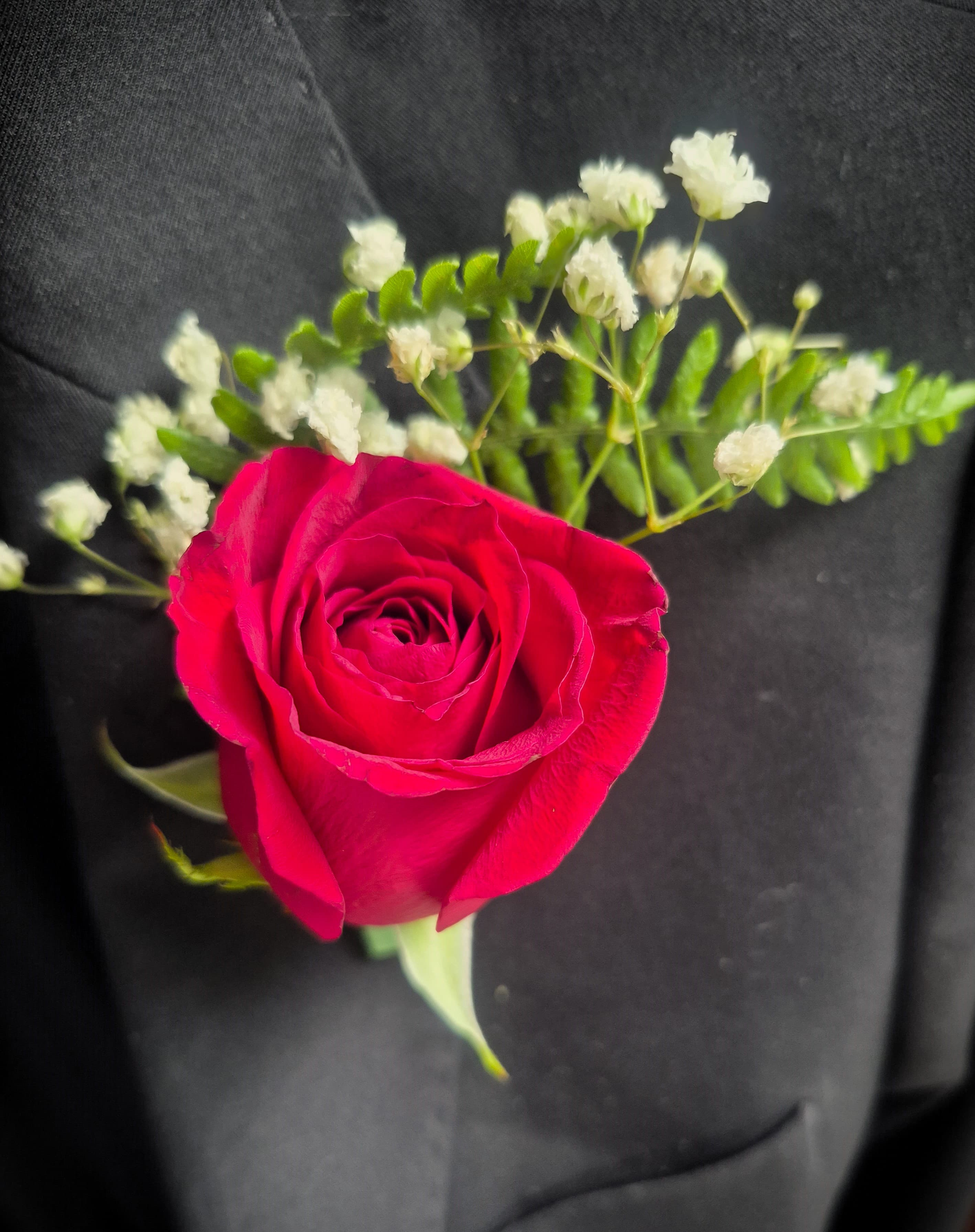 Classic Rose